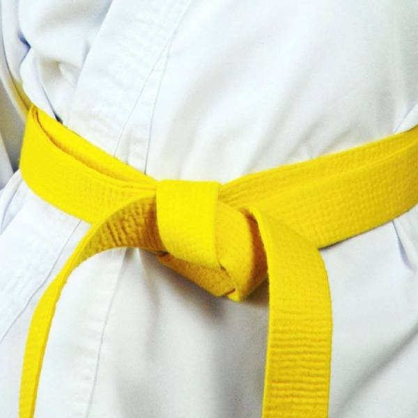 which of the following is not a component of six sigma yellow belt training?